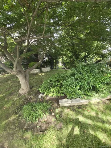 a view of yard with green space