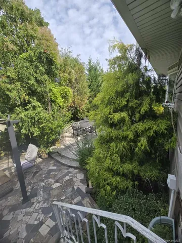 a view of a yard with plants