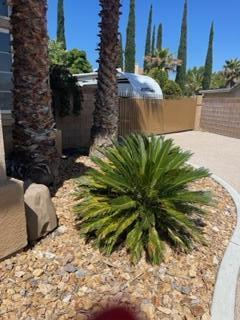 42107 Quail Run Way Lancaster, CA 93536 - Photo 4 of 38 a view of a garden