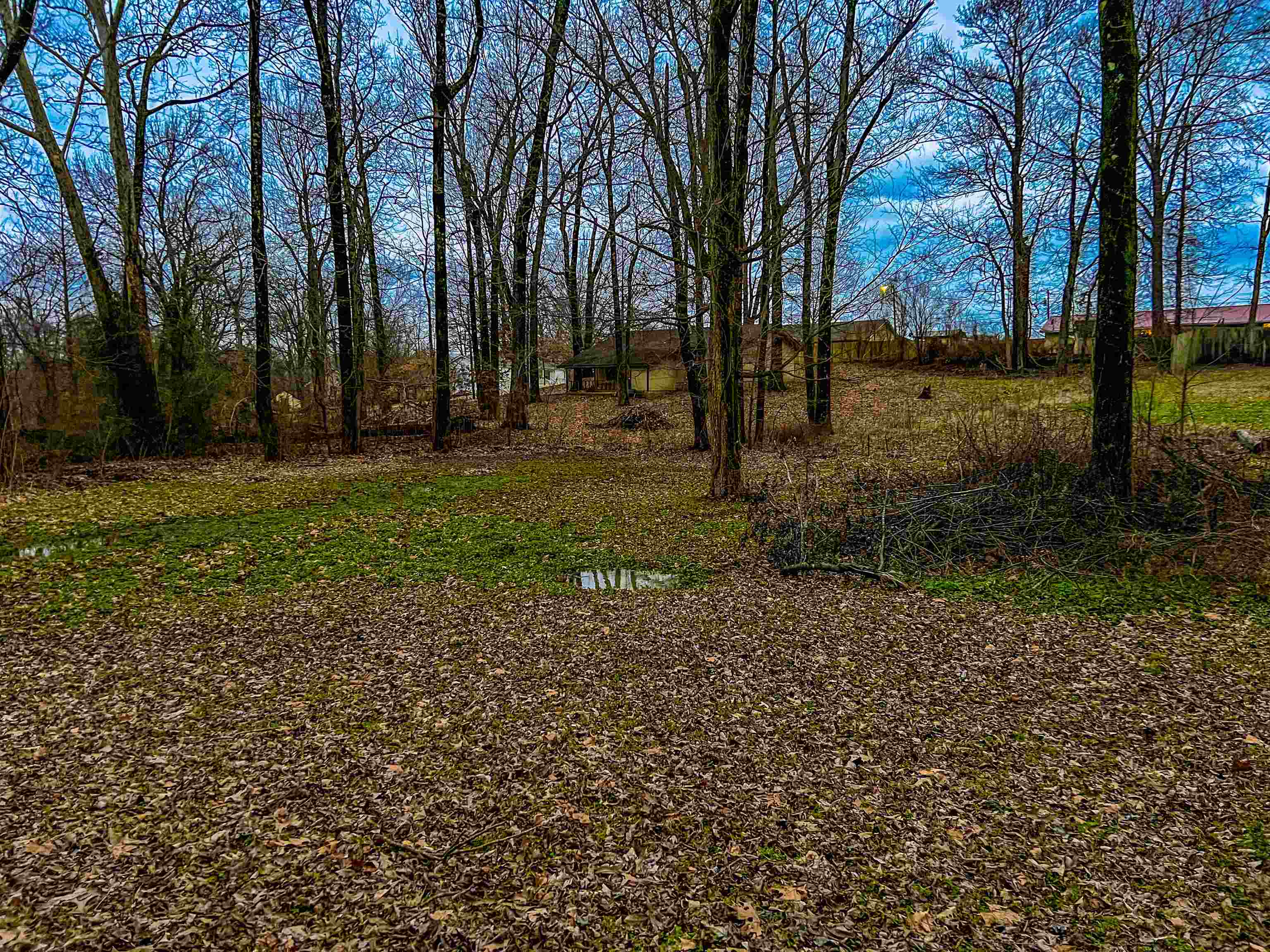 73 Russwood Road Brighton, TN 38011 - Photo 16 of 17 Gallery Image 16