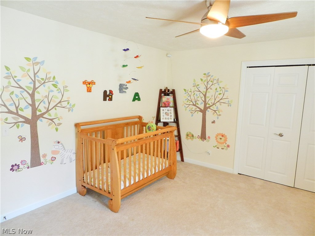 13419 County Line Road Chesterland, OH 44026 - Photo 11 of 21 Bedroom 2, with large closets, also enjoys French Doors to the second floor sun porch.