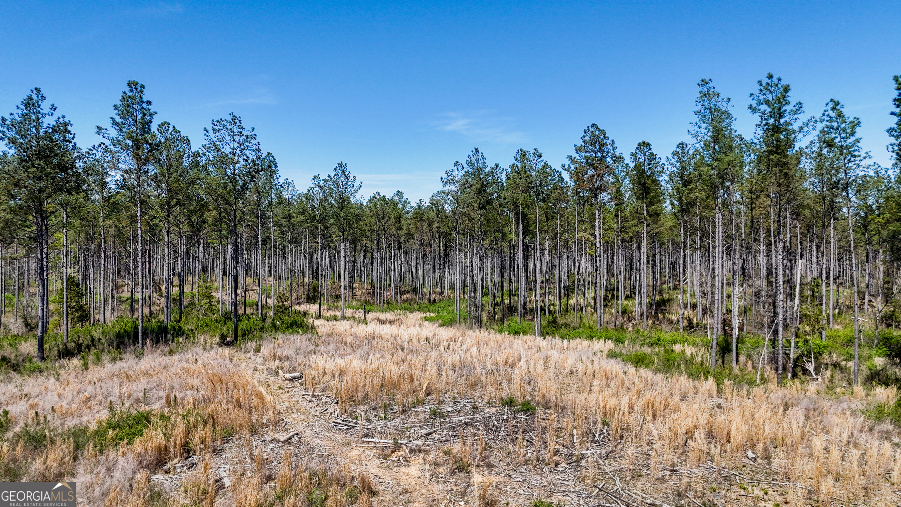 403-acres Youngs Farm Road Cedartown, GA 30125 - Photo 3 of 14
