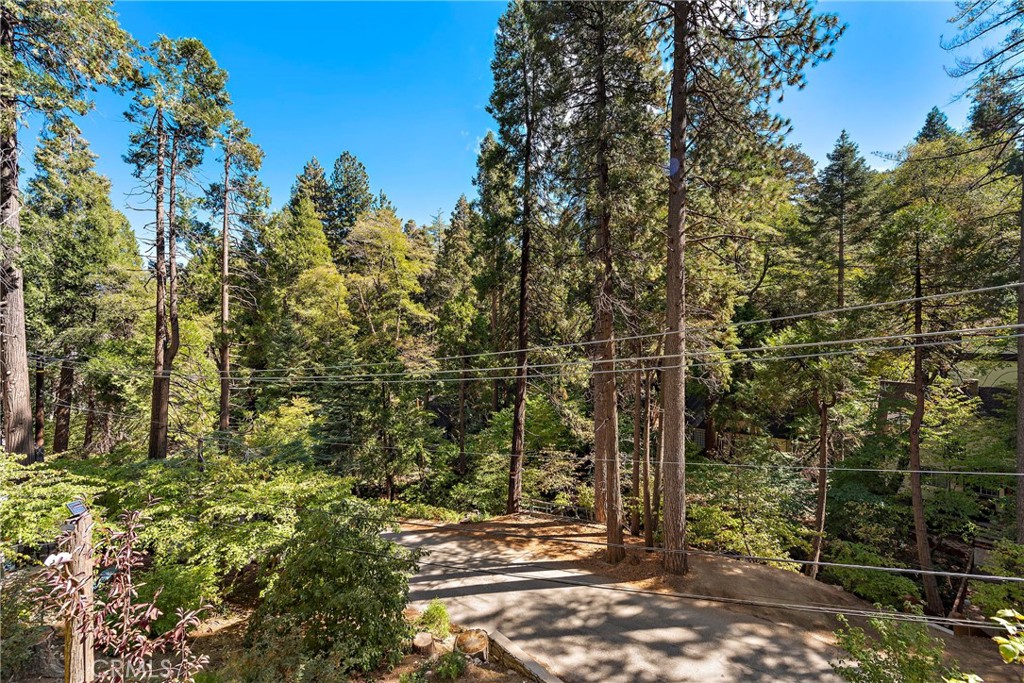 400 Cottage Grove Road Lake Arrowhead, CA 92352 - Photo 44 of 75 a view of outdoor space and street view