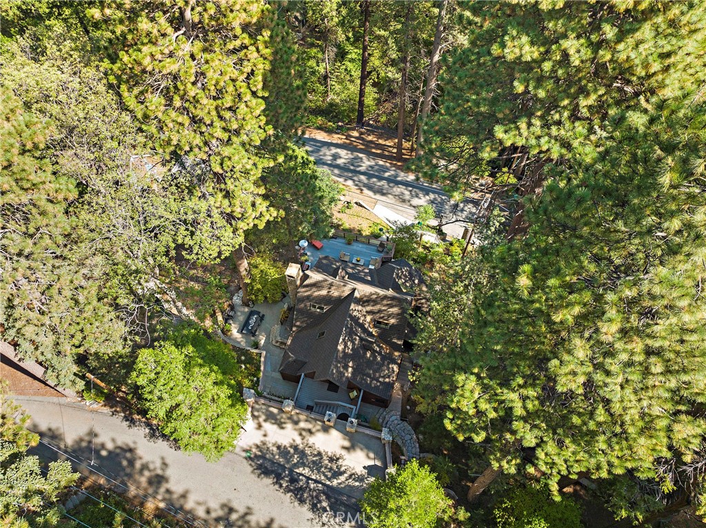 400 Cottage Grove Road Lake Arrowhead, CA 92352 - Photo 57 of 75