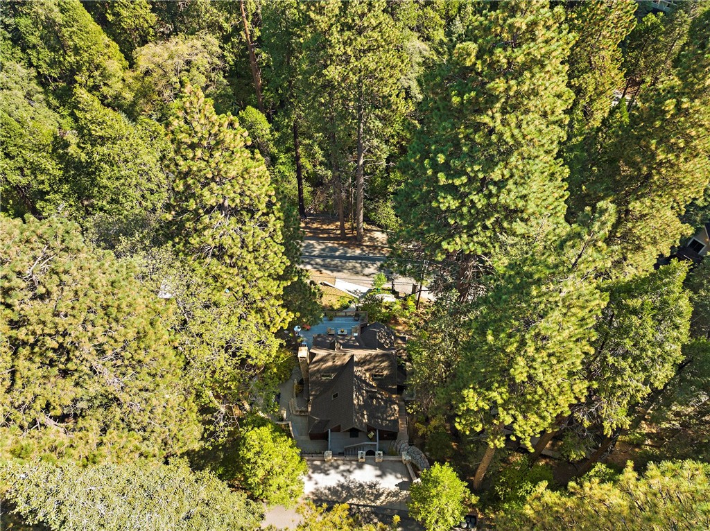 400 Cottage Grove Road Lake Arrowhead, CA 92352 - Photo 70 of 75 a view of a tree with lots of bushes