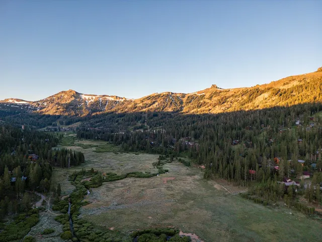 a view of outdoor space with green field and trees