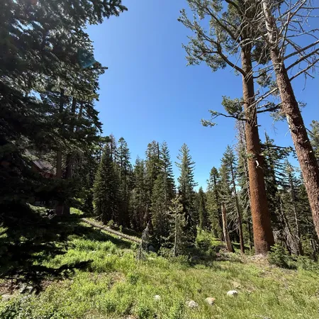 a view of a city with lush green forest