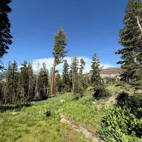 $155,000 | 34011 Danburg Drive, Knights Landing, CA 95645