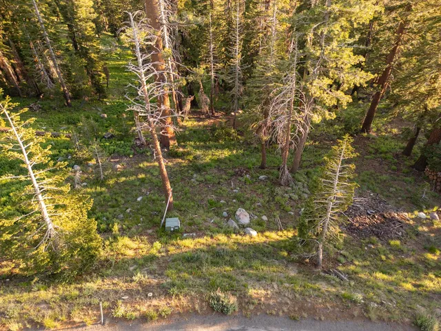 a backyard of a house