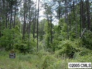 Trk B L R Schronce Lane Iron Station, NC 28080 - Photo 2 of 6 a view of a green field with lots of bushes