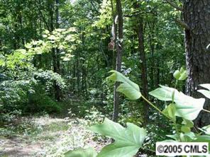 Trk B L R Schronce Lane Iron Station, NC 28080 - Photo 3 of 6 a view of outdoor space and covered with trees