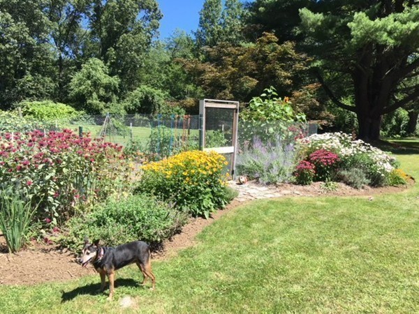 312 Red Acre Road Stow, MA 01775 - Photo 25 of 28