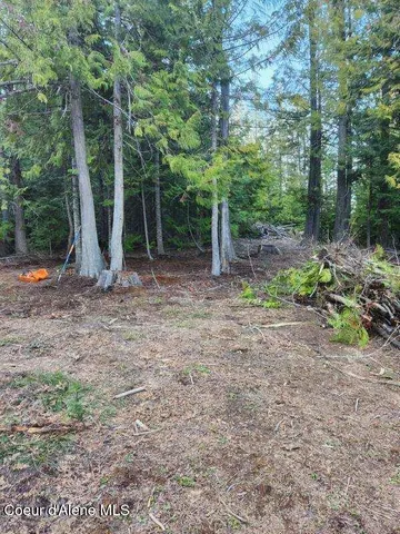 $74,900 | Nka Middle Fork Santa Creek Road, St. Maries, ID 83861