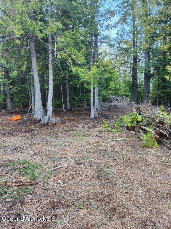 Nka Middle Fork Santa Creek Road St. Maries, ID 83861 - Photo 2 of 6 Middle Fork 5