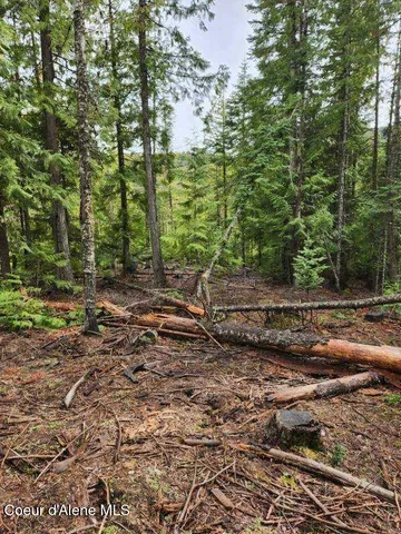 $74,900 | Nka Middle Fork Santa Creek Road, St. Maries, ID 83861