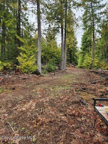 $74,900 | Nka Middle Fork Santa Creek Road, St. Maries, ID 83861