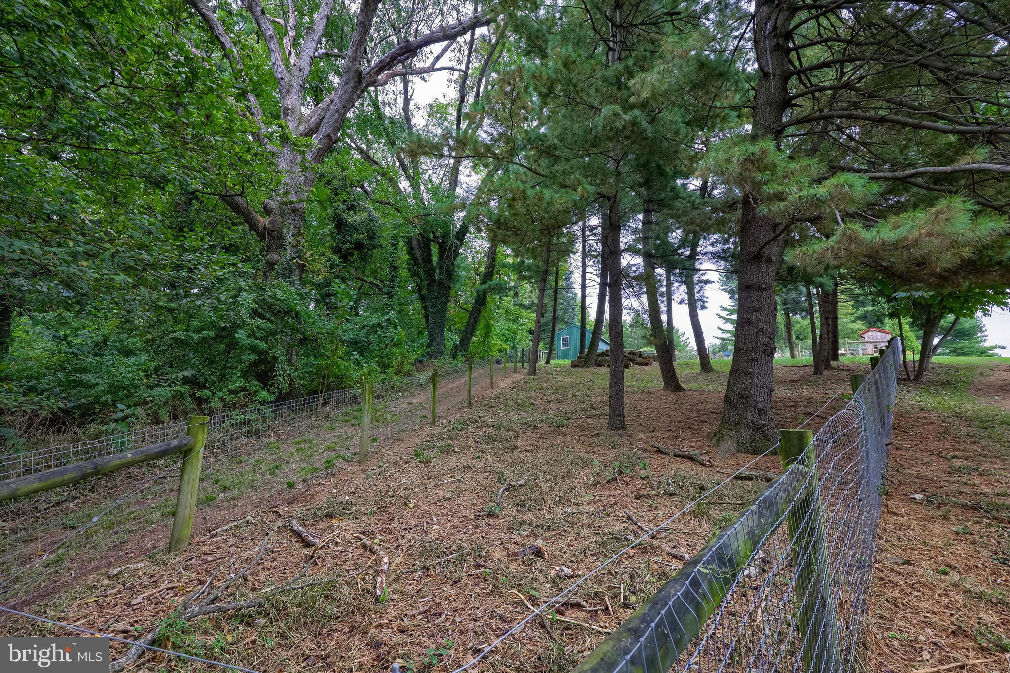 209 Sego Sago Road Lititz, PA 17543 - Photo 45 of 74