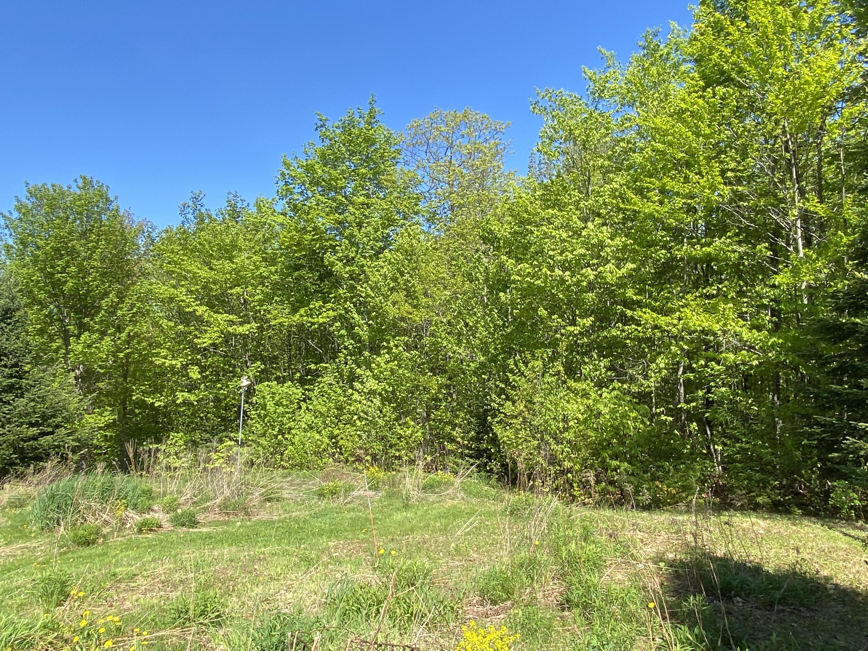 449 Mayfield Road Harmony, ME 04942 - Photo 51 of 58 IMG_6531