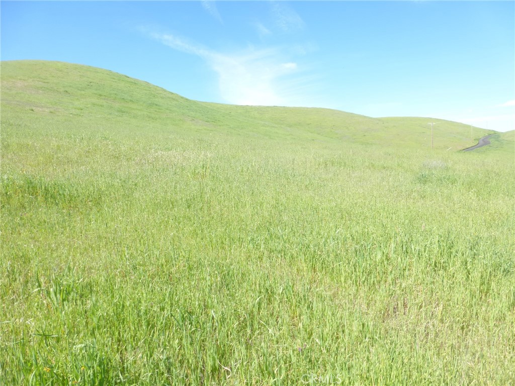 0 Douglas Road San Miguel, CA 93451 - Photo 34 of 51