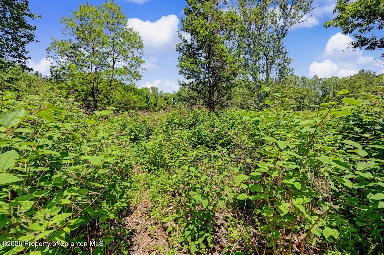890 Bardwell Road Factoryville, PA 18419 - Photo 56 of 63 890 Bardwell Rd 56 Large