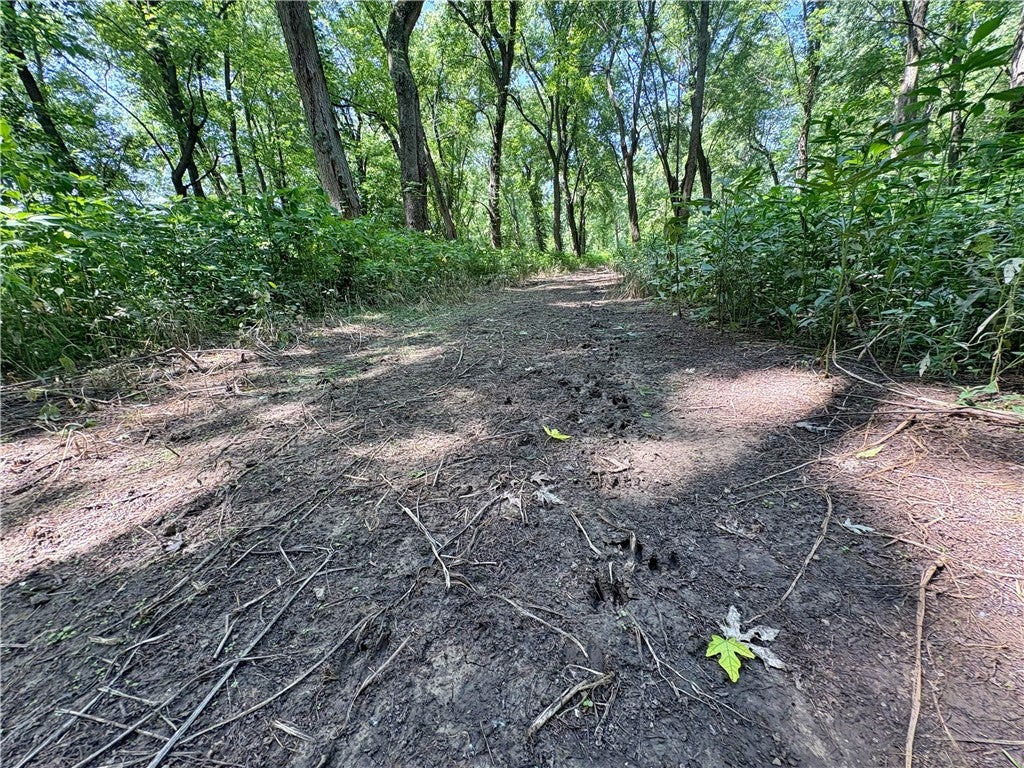 North York Road West York, IL 62478 - Photo 12 of 21 Gallery Image 12