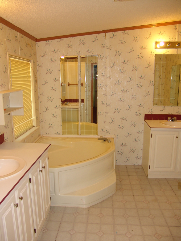 556 Isolane Road Callaway, VA 24067 - Photo 14 of 19 Master Bathroom with Jacuzzi