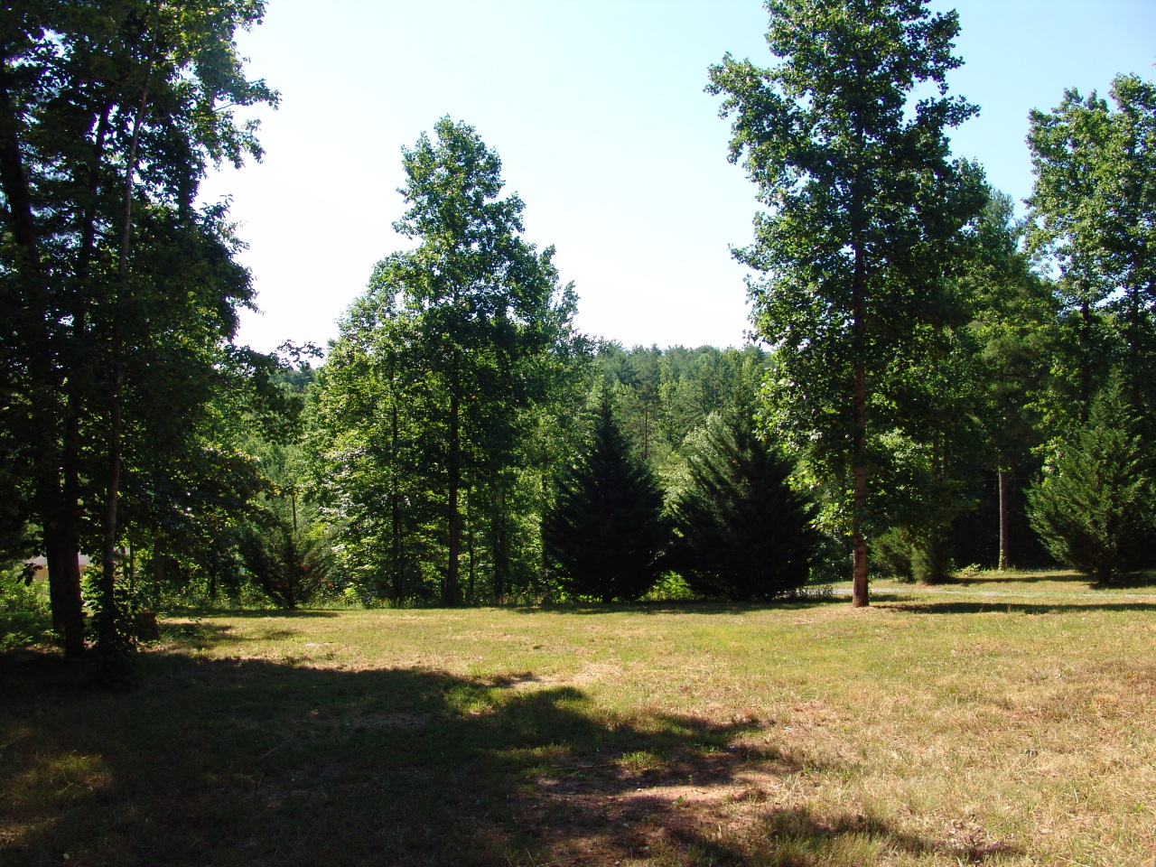 556 Isolane Road Callaway, VA 24067 - Photo 17 of 19 Beautiful front yard