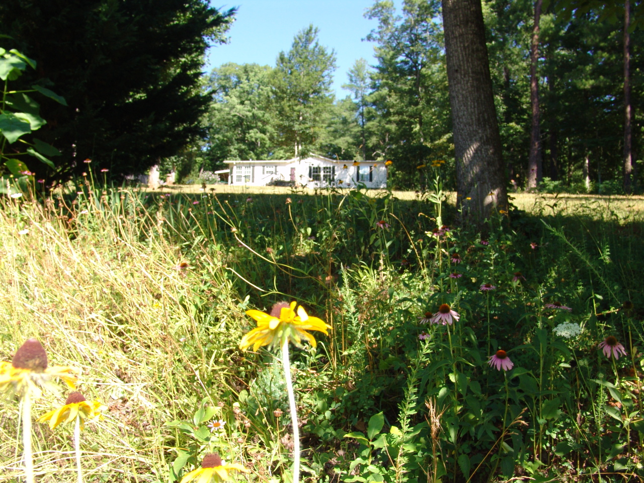 556 Isolane Road Callaway, VA 24067 - Photo 18 of 19 Front yard