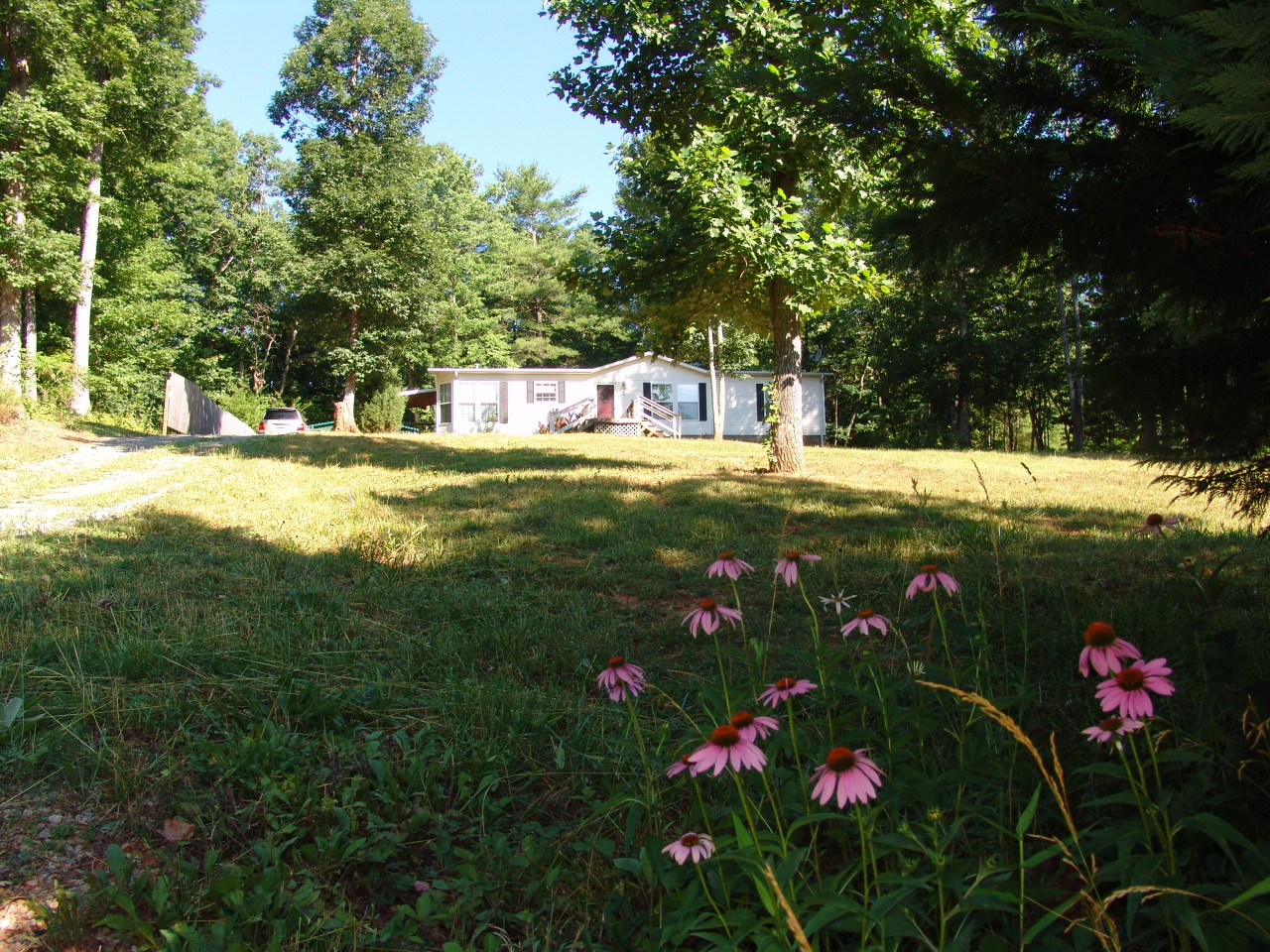 556 Isolane Road Callaway, VA 24067 - Photo 3 of 19 Lovely front yard