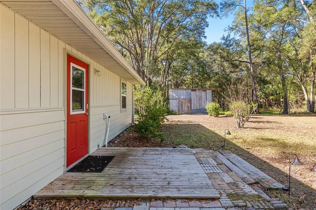 a view of a yard with plants and trees