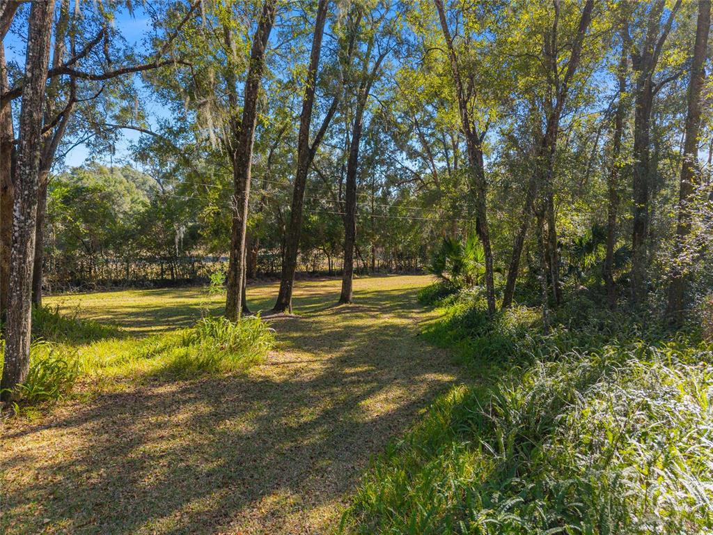 18124 Southwest 75 Avenue Archer, FL 32618 - Photo 26 of 52 a view of yard with swimming pool and trees