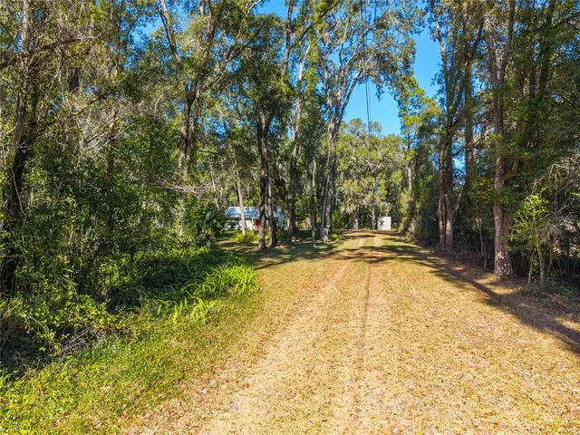 a view of yard with trees