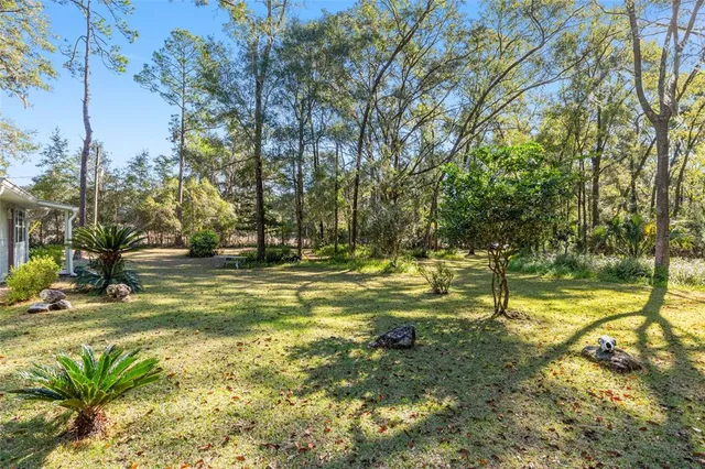 a view of swimming pool with a tree