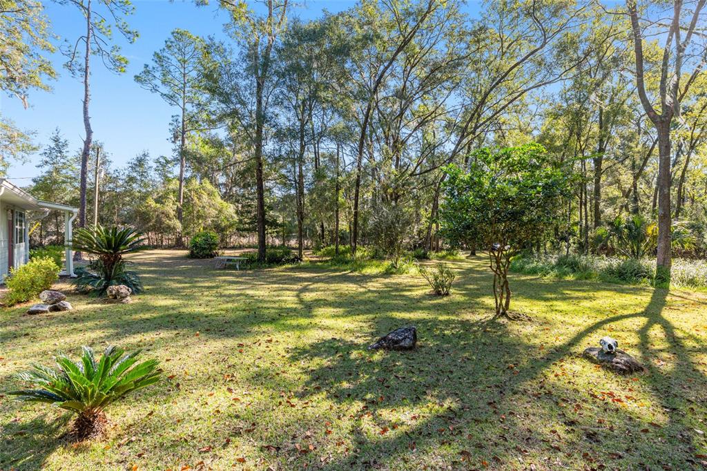 18124 Southwest 75 Avenue Archer, FL 32618 - Photo 38 of 52 a view of swimming pool with a tree