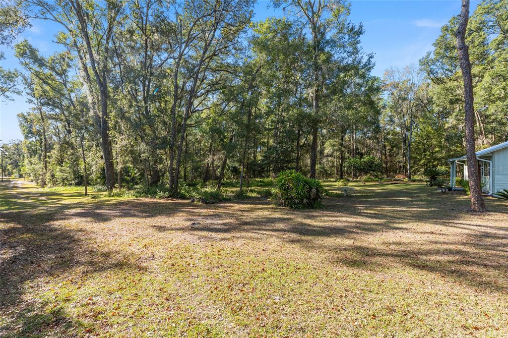 18124 Southwest 75 Avenue Archer, FL 32618 - Photo 39 of 52 a view of a yard with large trees