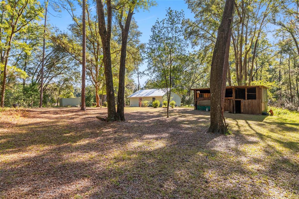 18124 Southwest 75 Avenue Archer, FL 32618 - Photo 40 of 52 a view of yard with tree