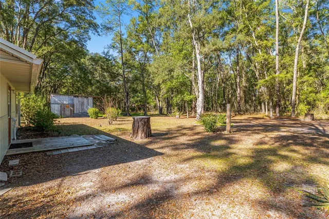 a view of a house with a yard and tree