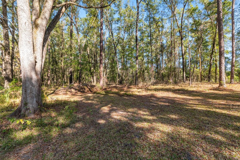 18124 Southwest 75 Avenue Archer, FL 32618 - Photo 48 of 52 a view of outdoor space with trees