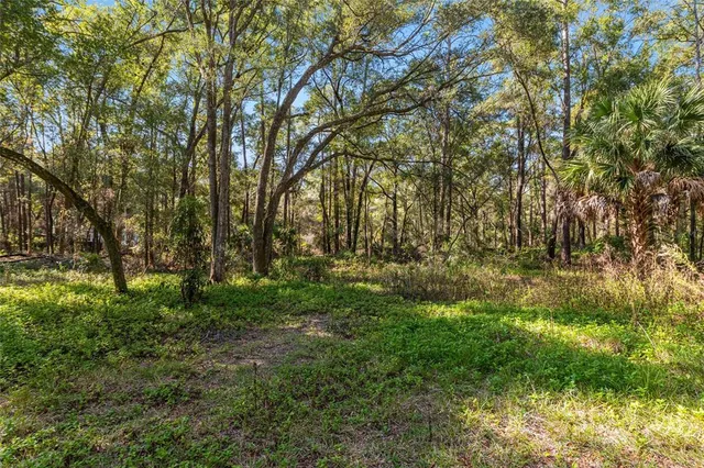 a view of road with trees