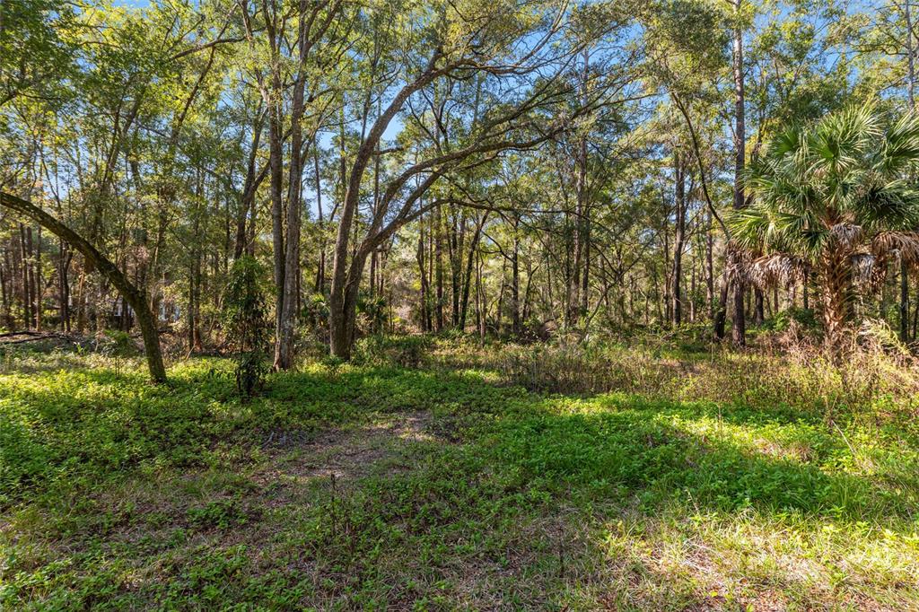 18124 Southwest 75 Avenue Archer, FL 32618 - Photo 49 of 52 a view of backyard with green space