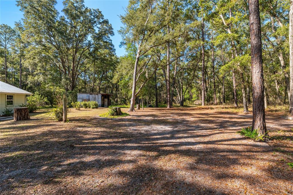 18124 Southwest 75 Avenue Archer, FL 32618 - Photo 50 of 52 a view of road with trees