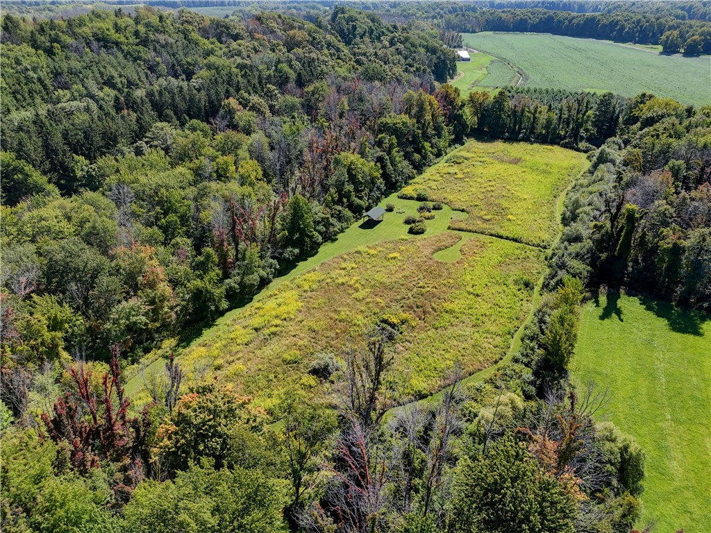 5279 Russell Road Marion, NY 14505 - Photo 43 of 50