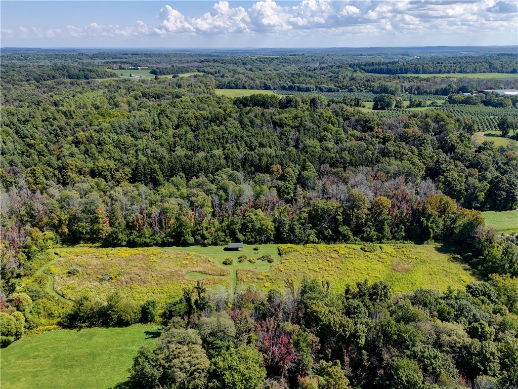 5279 Russell Road Marion, NY 14505 - Photo 44 of 50