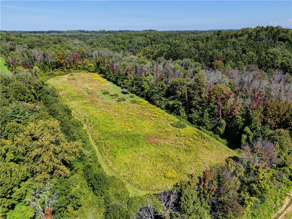 5279 Russell Road Marion, NY 14505 - Photo 47 of 50