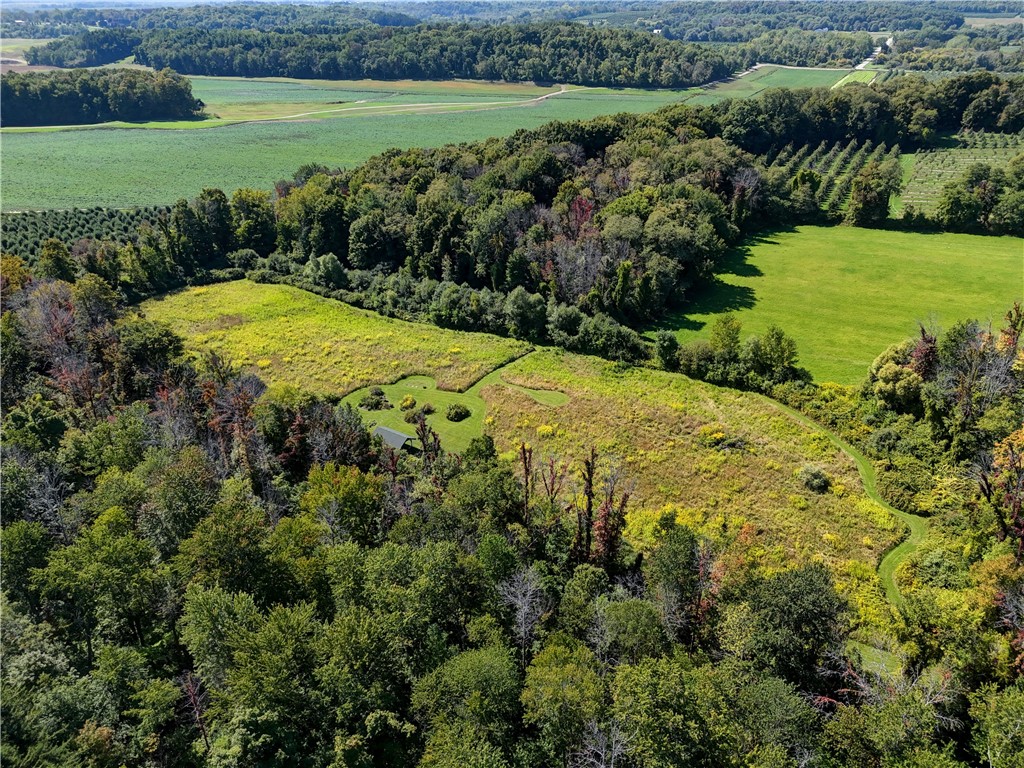 5279 Russell Road Marion, NY 14505 - Photo 48 of 50