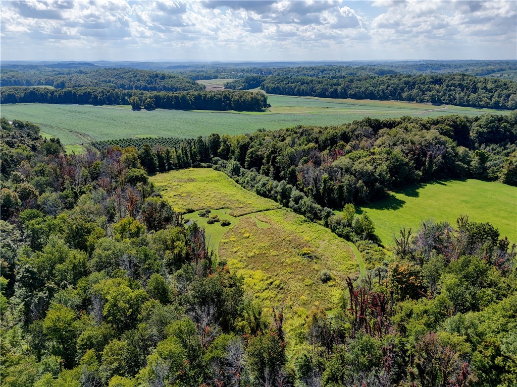 5279 Russell Road Marion, NY 14505 - Photo 49 of 50