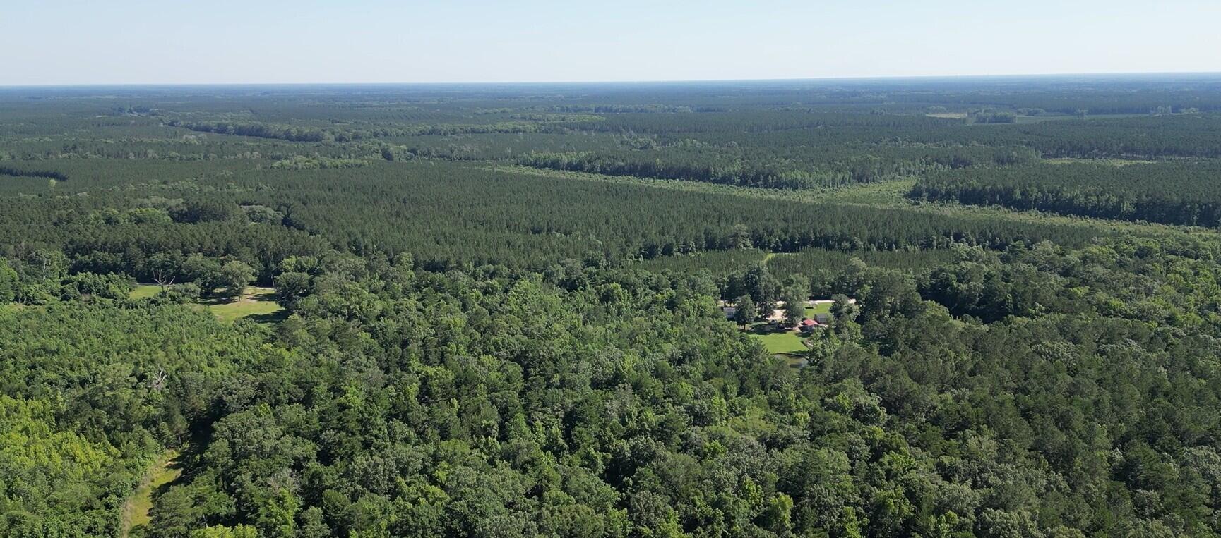 0 Hyde Park Road Adams Run, SC 29426 - Photo 7 of 12 dji_fly_20260514_051820_180_178137464862
