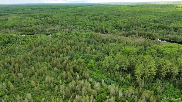 $72,500 | 40-acres 40-acres Off Wide Waters Road, Crystal Falls, MI 49920