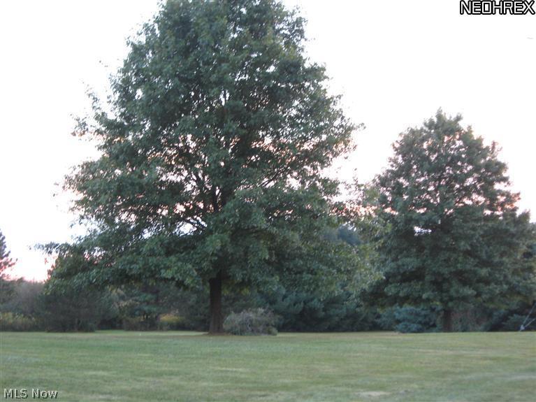 8489 Weaver Road Ravenna, OH 44266 - Photo 19 of 23 Two Very Tall Meticulously Cared for Oak Trees. They are Gorgeous and perfect Place to Entertain Family and Friends in the Summer time.