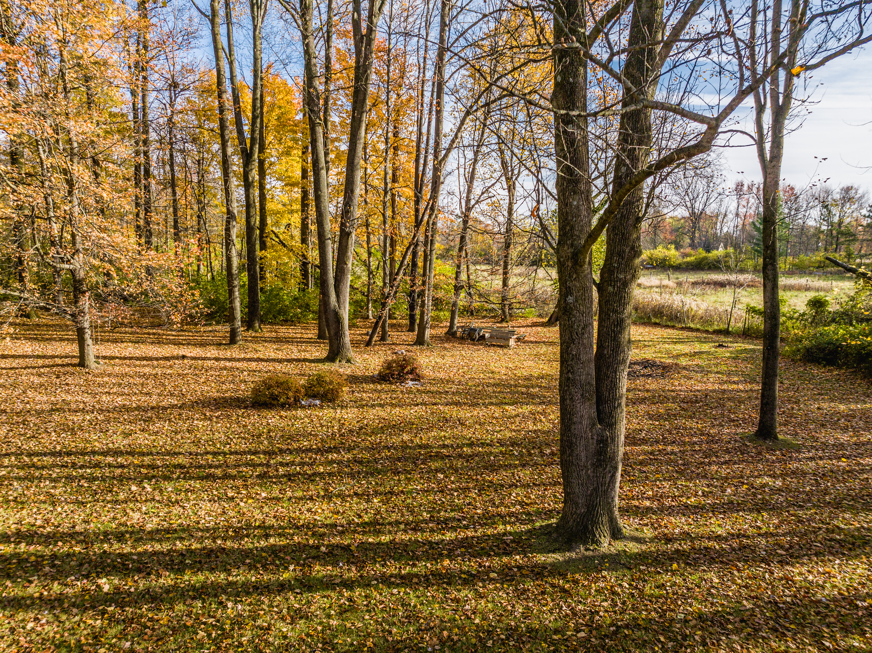 8107 Lantern Road Indianapolis, IN 46256 - Photo 60 of 65 Gallery Image 60